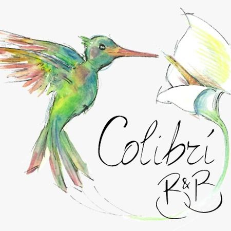 Colibri B&B Sciacca Eksteriør billede