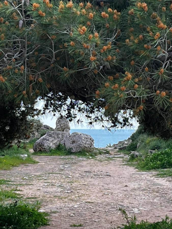Colibri B&B Sciacca Eksteriør billede